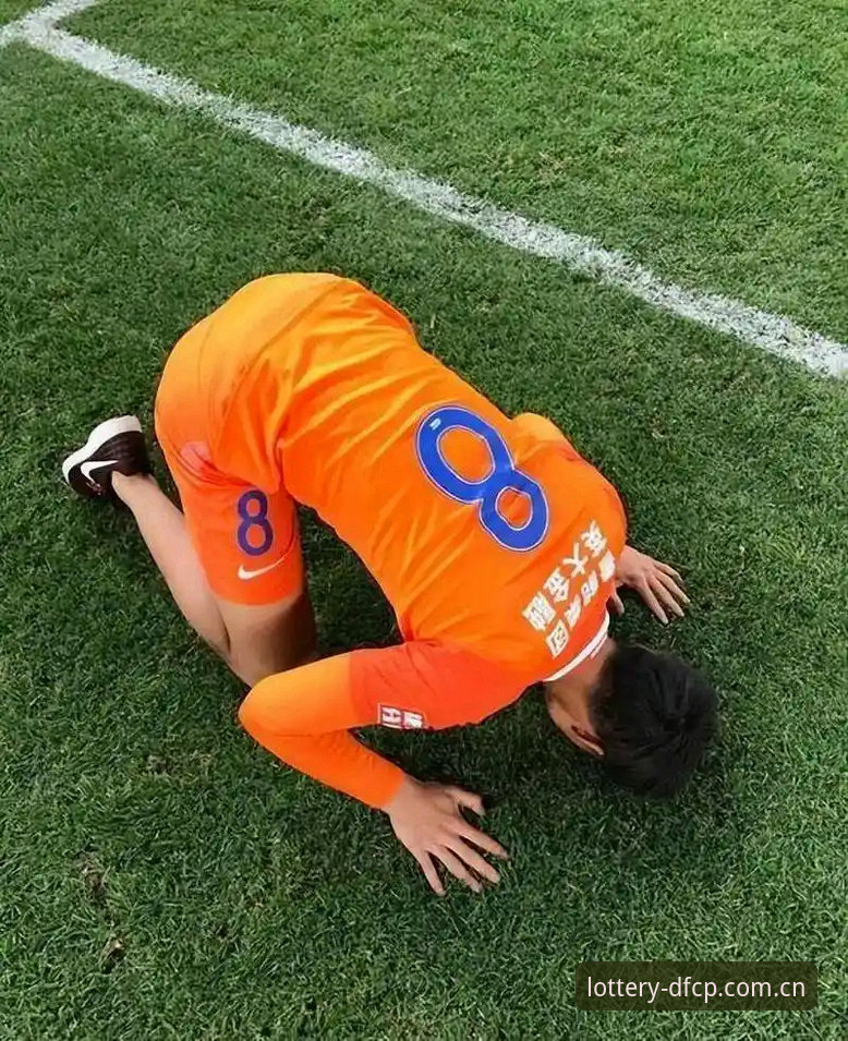 足协终身禁足与五年禁赛对比：17人永别绿茵场 vs 48人限期封杀，大发彩票带您深度剖析行业整顿